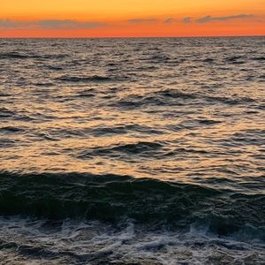 Meet your Posher, Chloe